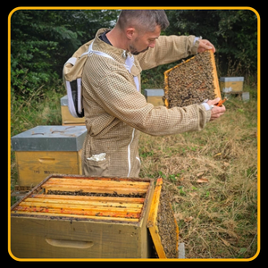 Offres pour les professionnels